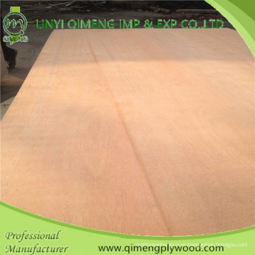 Núcleo de madera de álamo o madera dura Dbbcc Grade 12mm Bintangor Plywood